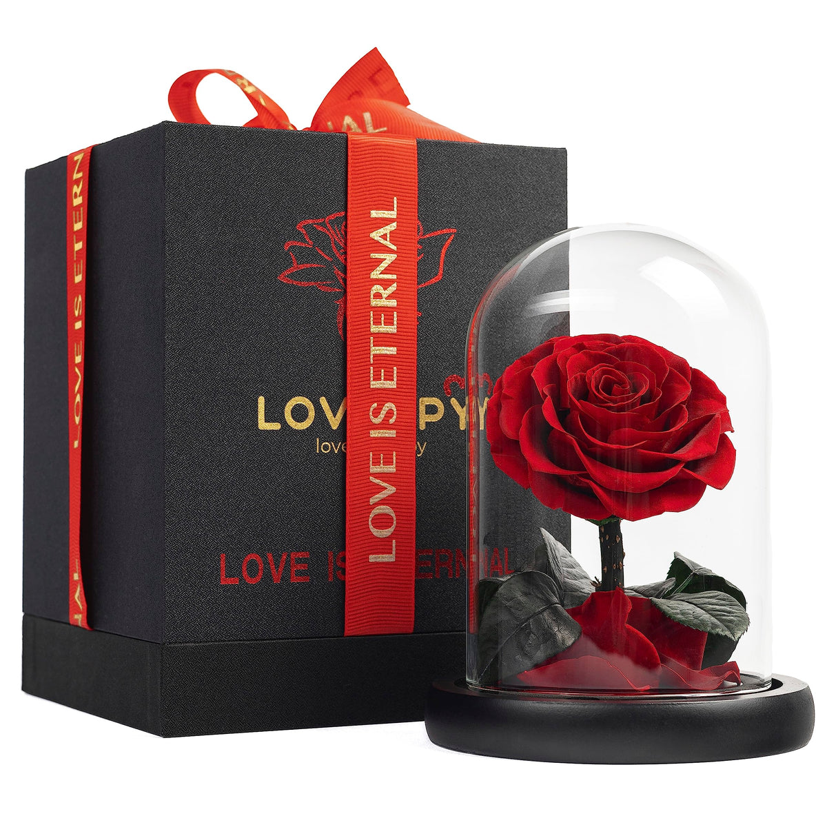 Rosa Eterna In Cupola Di Vetro - Fiore Conservato Naturale - Regalo Per Donna, Mamma, Anniversario, San Valentino - Viola
