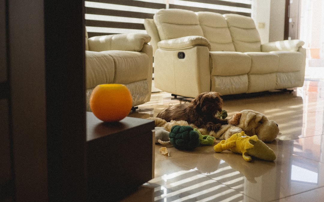 Furniture & Accessories