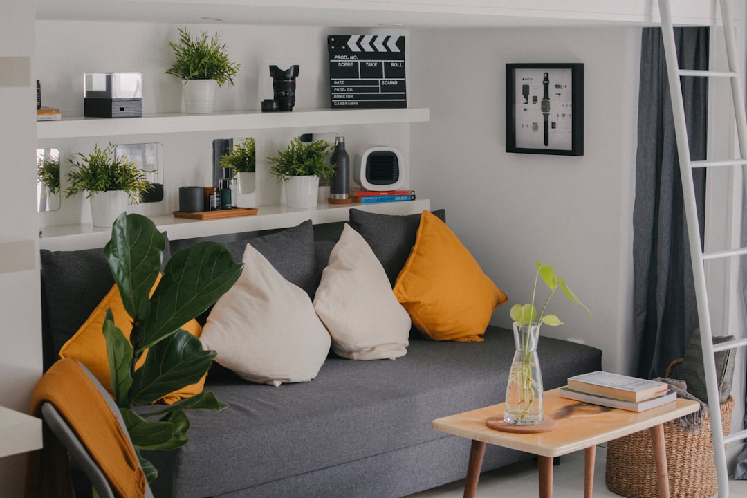 Furniture & Accessories