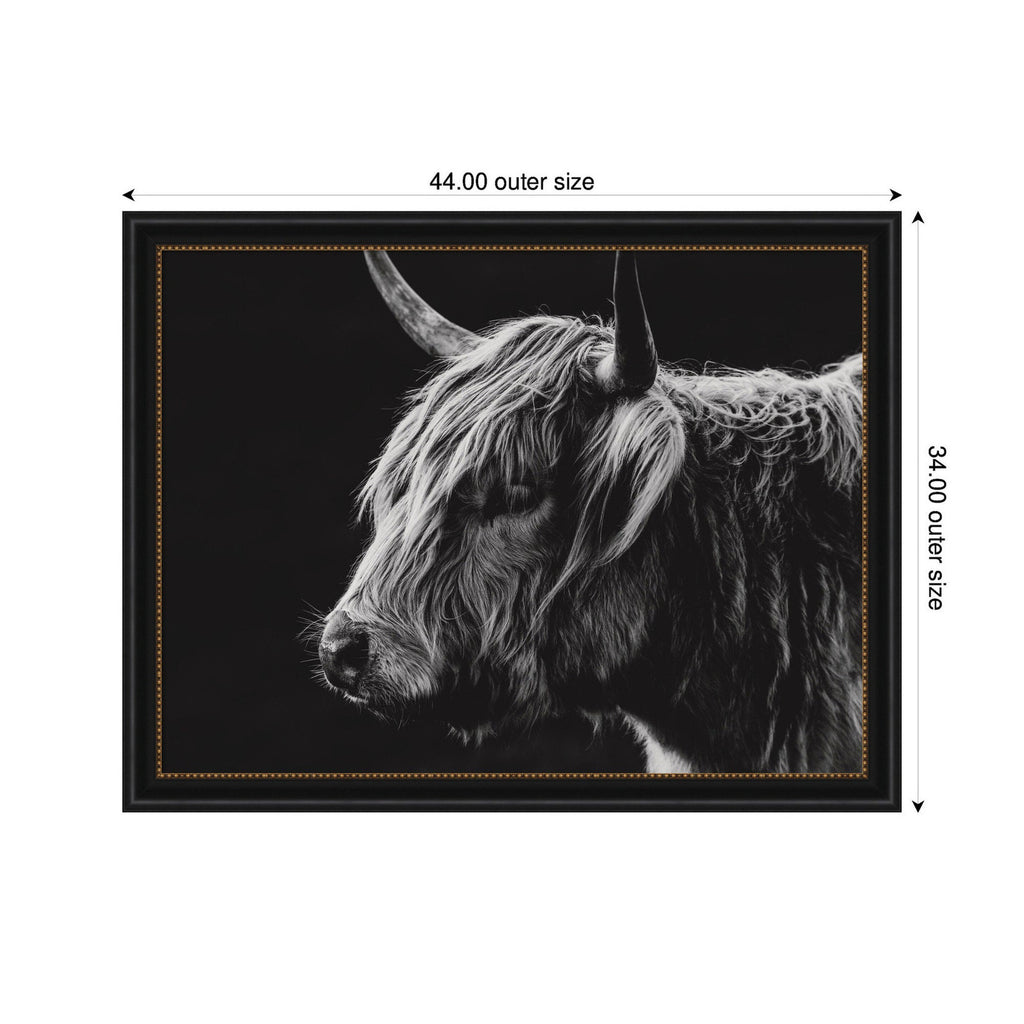 Scottish Highland by Crystal Lynn Collins Framed Wall Art Print