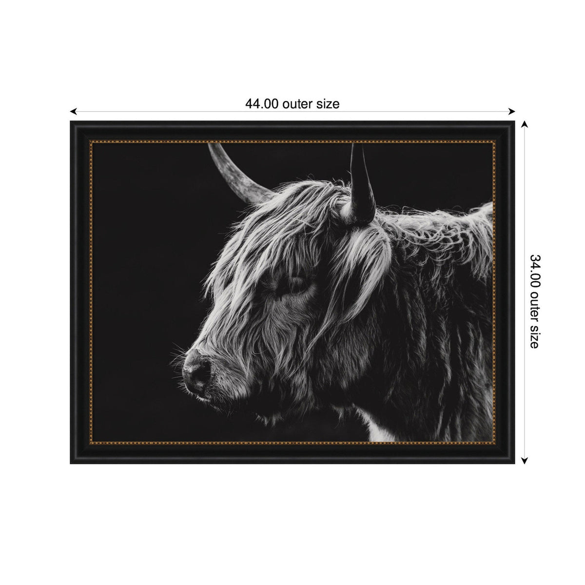 Scottish Highland by Crystal Lynn Collins Framed Wall Art Print