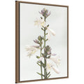 Sylvie Hosta Framed Canvas by Alicia Abla