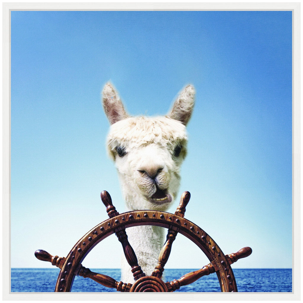 Sylvie Boat Animal Alpaca Framed Canvas by The Creative Bunch Studio