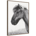 AA Indomitable by Alicia Abla Framed Canvas Wall Art Print
