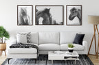Sylvie Noble BW Framed Canvas by Alicia Abla