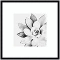 Modern Succulent by Tai Prints Framed Wall Art Print