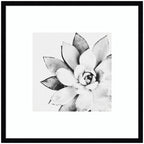 Modern Succulent by Tai Prints Framed Wall Art Print