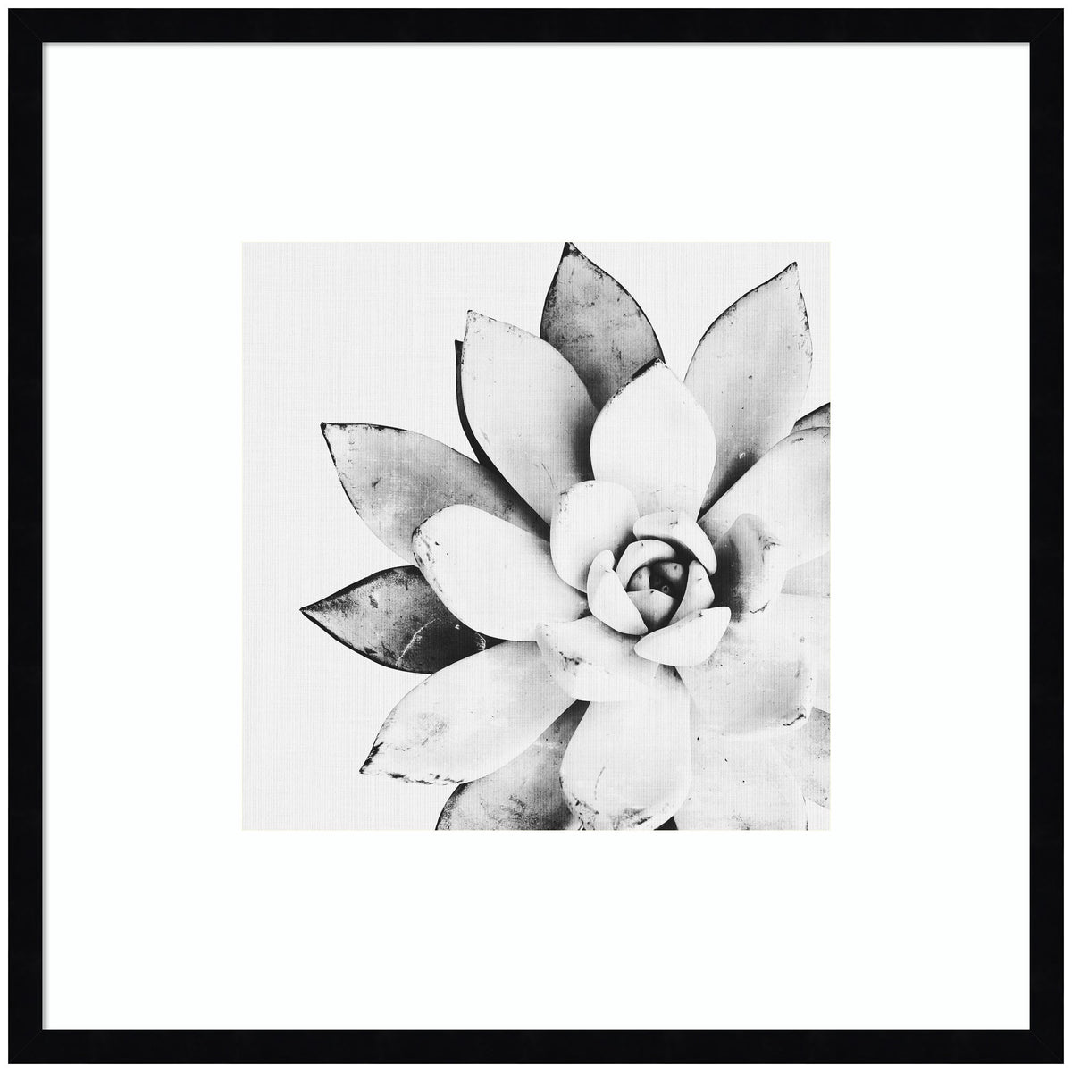 Modern Succulent by Tai Prints Framed Wall Art Print