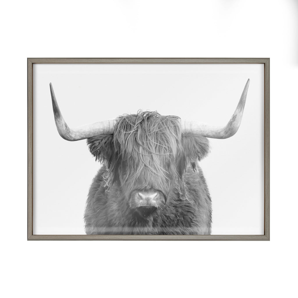 Blake Highland Cow Portrait Framed Printed Art by Amy Peterson Art Studio