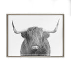 Blake Highland Cow Portrait Framed Printed Art by Amy Peterson Art Studio