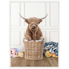 Sylvie Highland Cow Traditional Laundry Framed Canvas by Amy Peterson