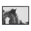 Sylvie Noble BW Framed Canvas by Alicia Abla
