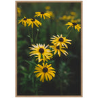 Sylvie Yellow Daisy Floral Blooms Framed Canvas by Patricia Hasz
