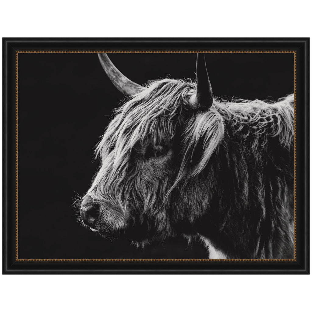 Scottish Highland by Crystal Lynn Collins Framed Wall Art Print