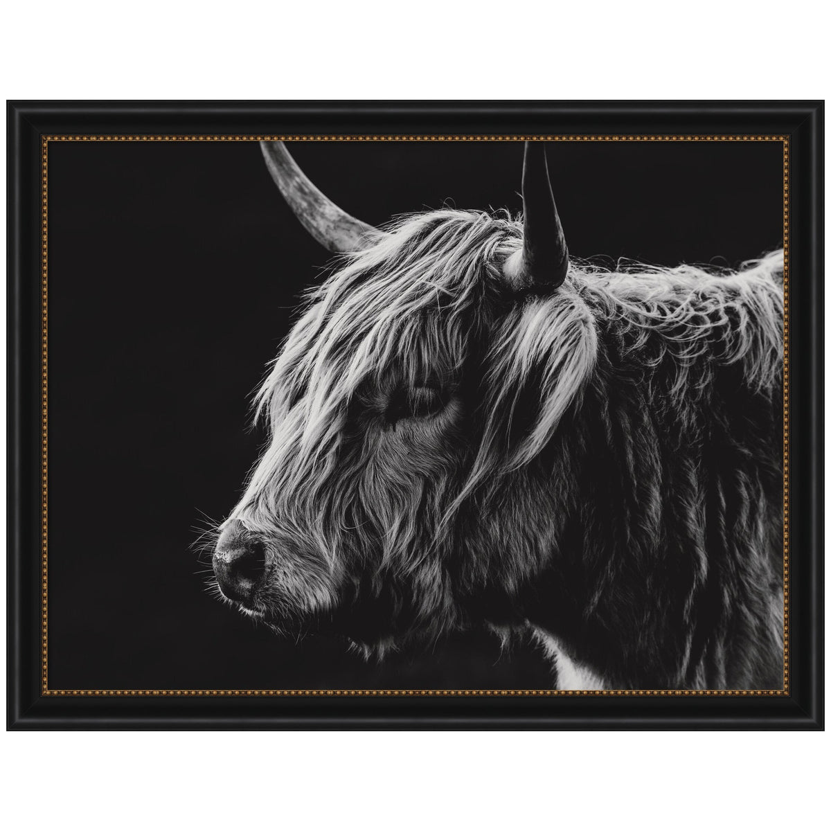Scottish Highland by Crystal Lynn Collins Framed Wall Art Print