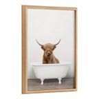 Blake Highland Cow in Tub Color Framed Printed Glass by Amy Peterson Art Studio