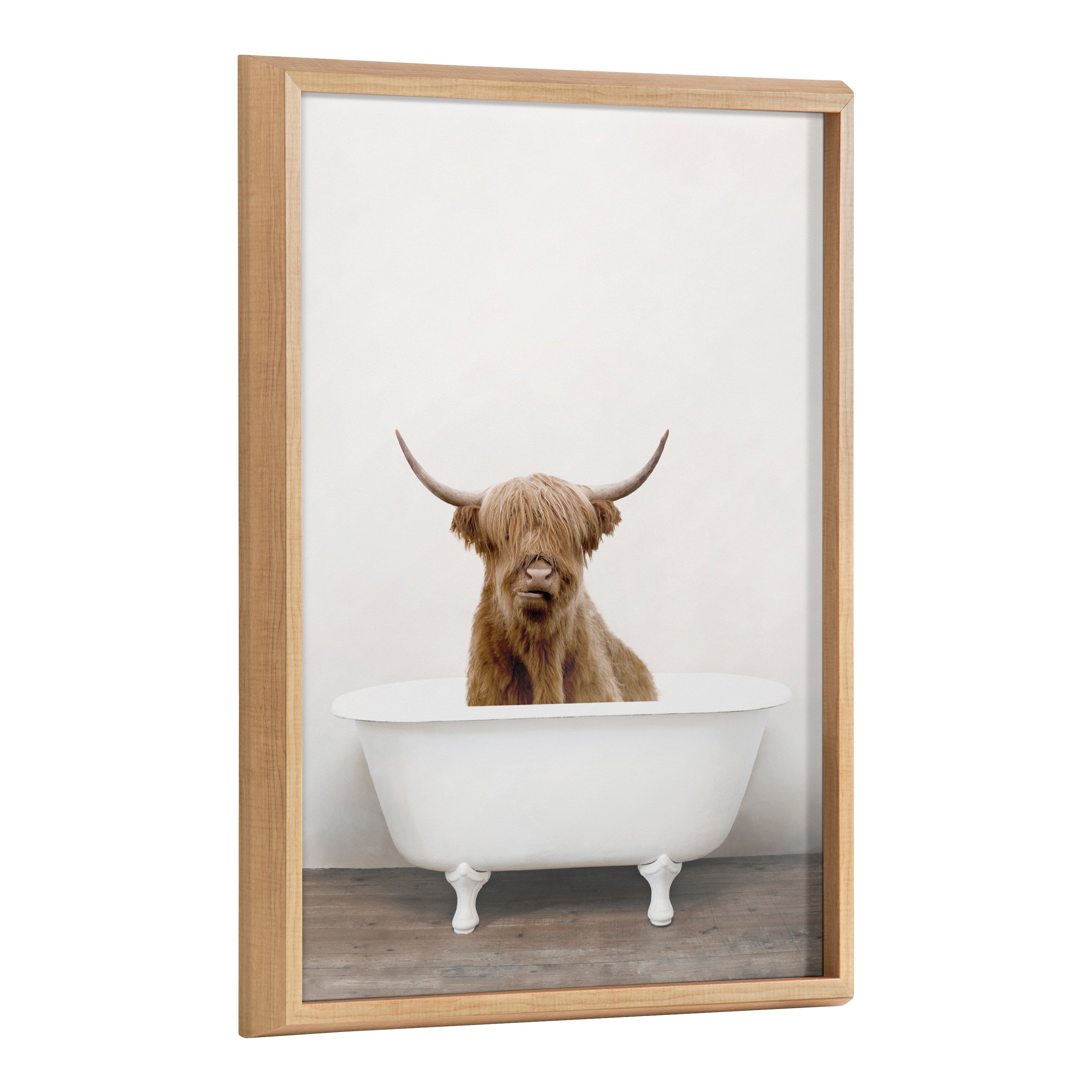 Blake Highland Cow in Tub Color Framed Printed Glass by Amy Peterson Art Studio