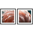 Flamingo No. 1 & 2 2 Piece Framed Wall Art Print Set by Alicia Bock