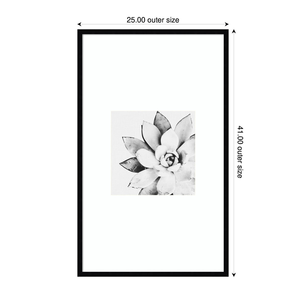 Modern Succulent by Tai Prints Framed Wall Art Print