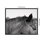 Auburn by Alicia Bock Framed Wall Art Print