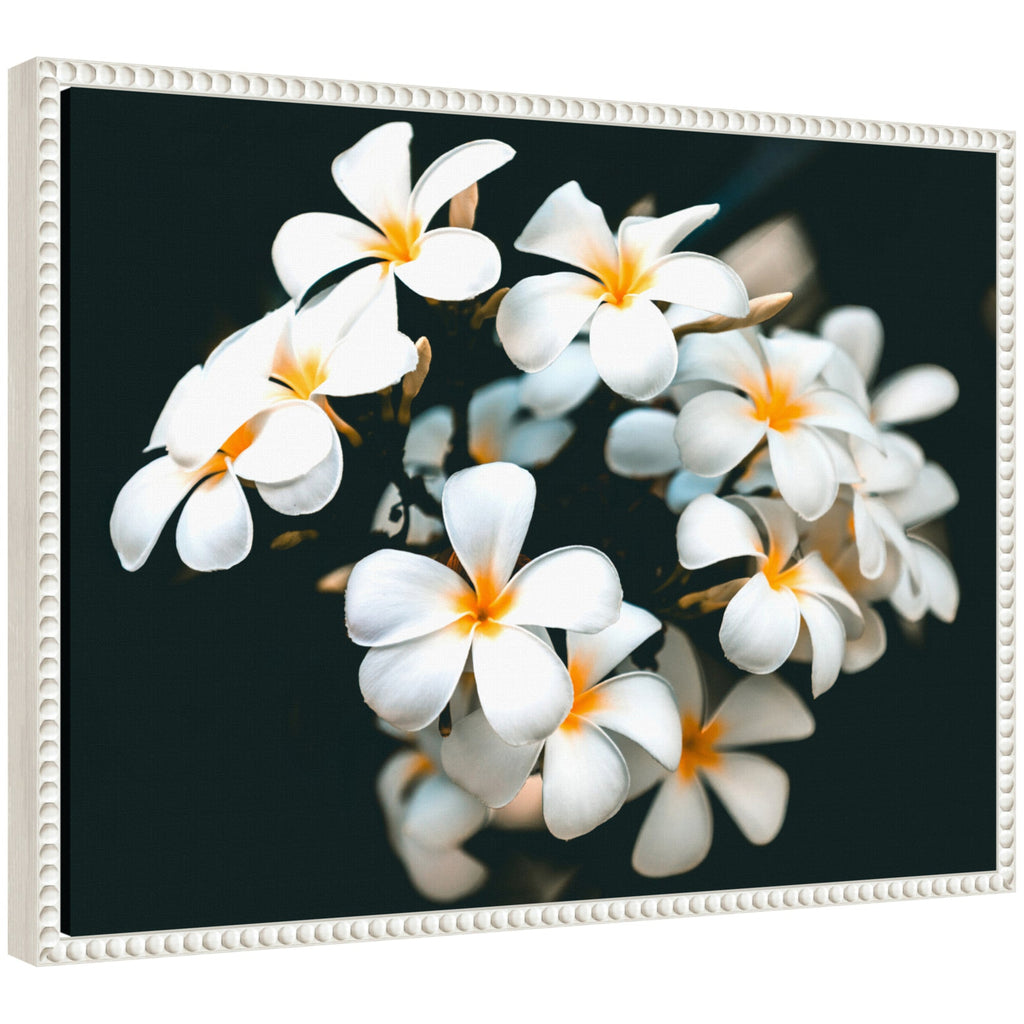 Sylvie Tropical Flowers Framed Canvas by Alicia Abla
