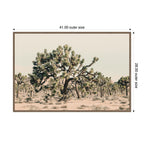 Joshua Tree No. 1 by Alicia Bock Framed Canvas Wall Art Print