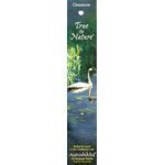 Auroshikha Incense products Cinnamon