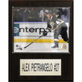 Nhl 12 Inch X15 Inch  Alex Pietrangelo St. Louis Blues Player Plaque