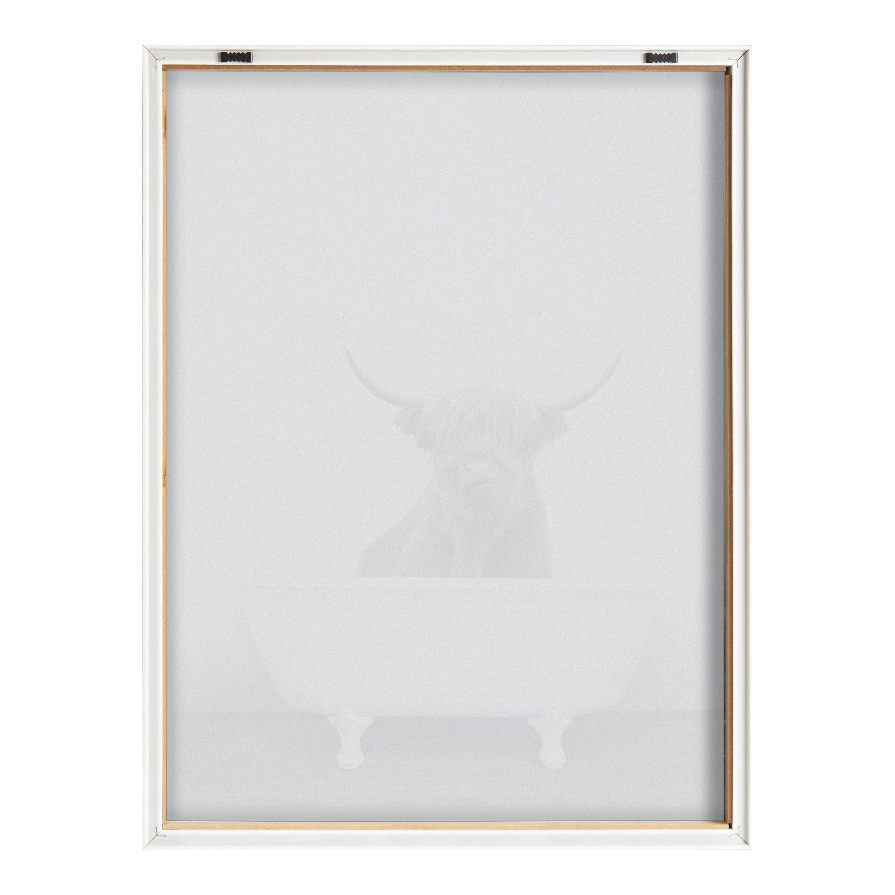 Blake Highland Cow in Tub Color Framed Printed Glass by Amy Peterson Art Studio