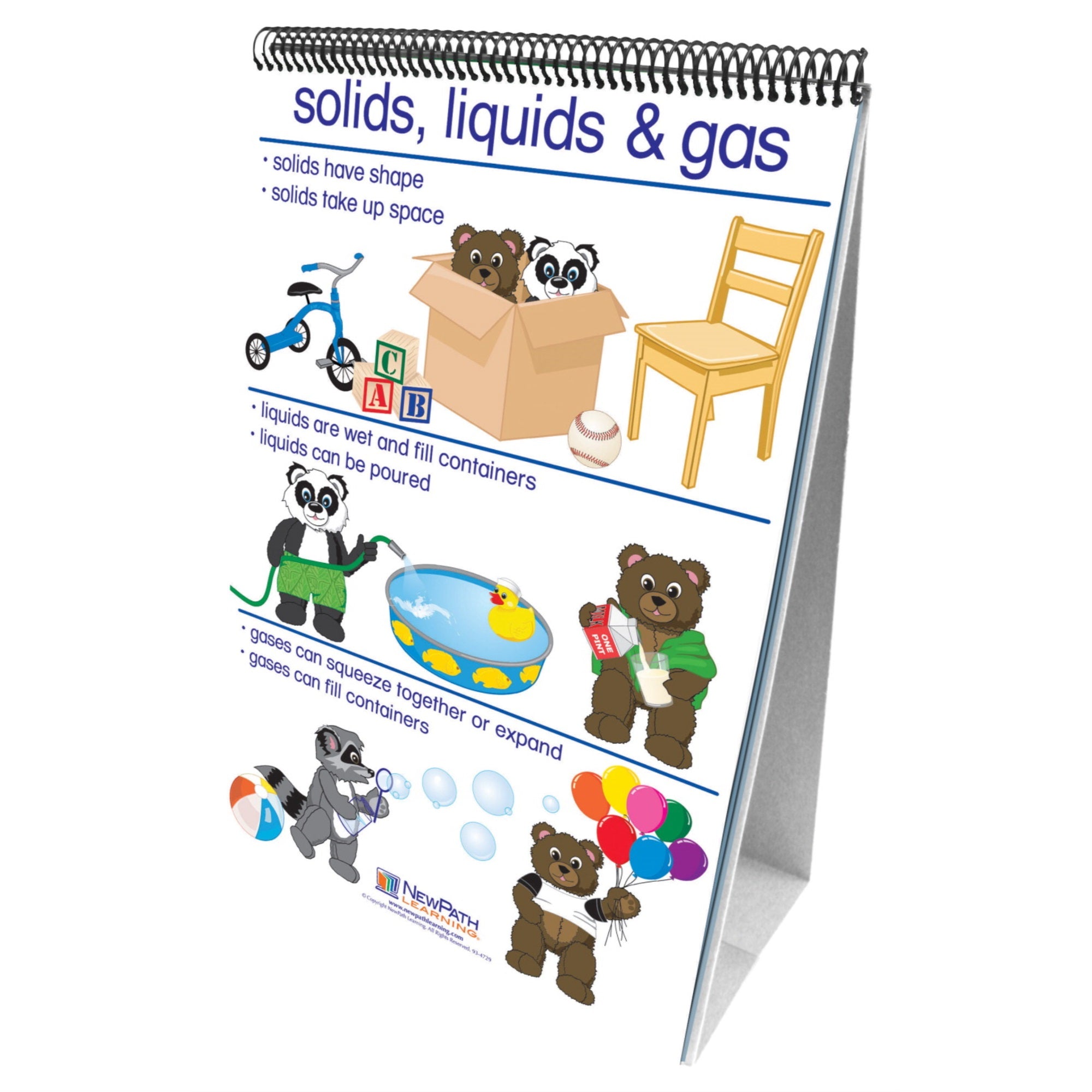 Newpath Learning Early Childhood Exploring Matter Double Sided Laminated Flip Chart, 12 L X 18 W In