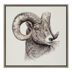 Sylvie Ram Framed Canvas by Ron Dunn
