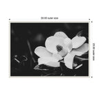 Sylvie Magnolias Framed Canvas by Alicia Abla