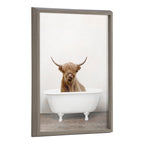 Blake Highland Cow in Tub Color Framed Printed Glass by Amy Peterson Art Studio