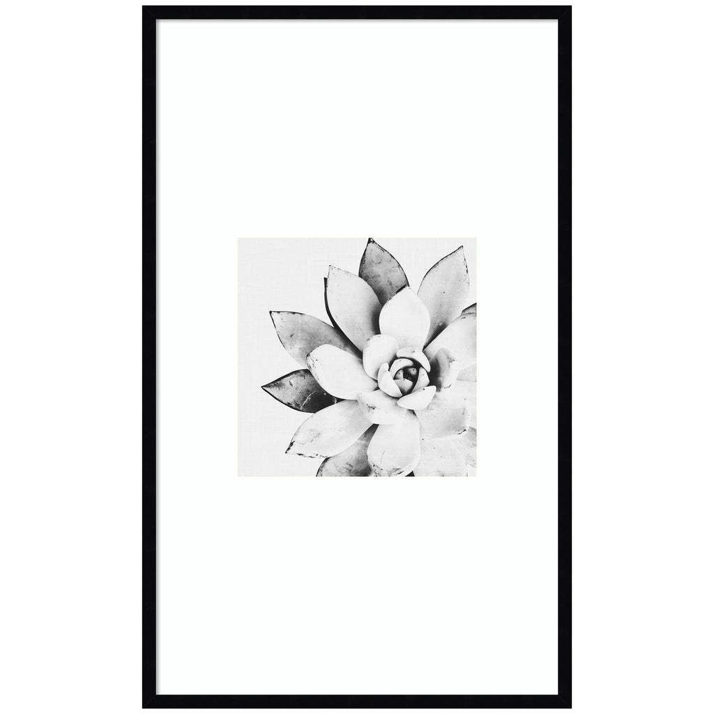 Modern Succulent by Tai Prints Framed Wall Art Print