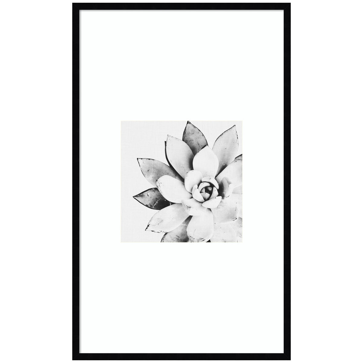 Modern Succulent by Tai Prints Framed Wall Art Print