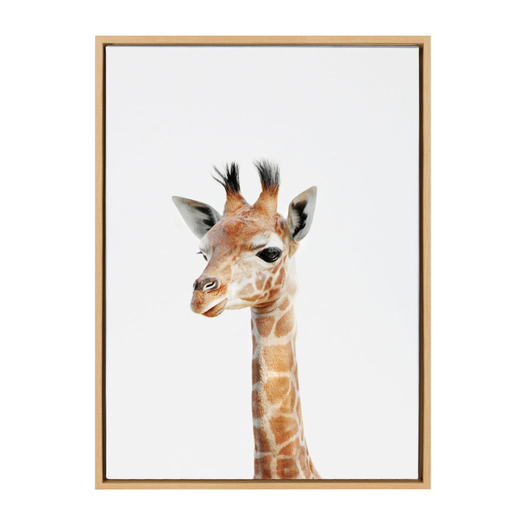 Sylvie Baby Giraffe Framed Canvas by Amy Peterson