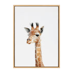 Sylvie Baby Giraffe Framed Canvas by Amy Peterson