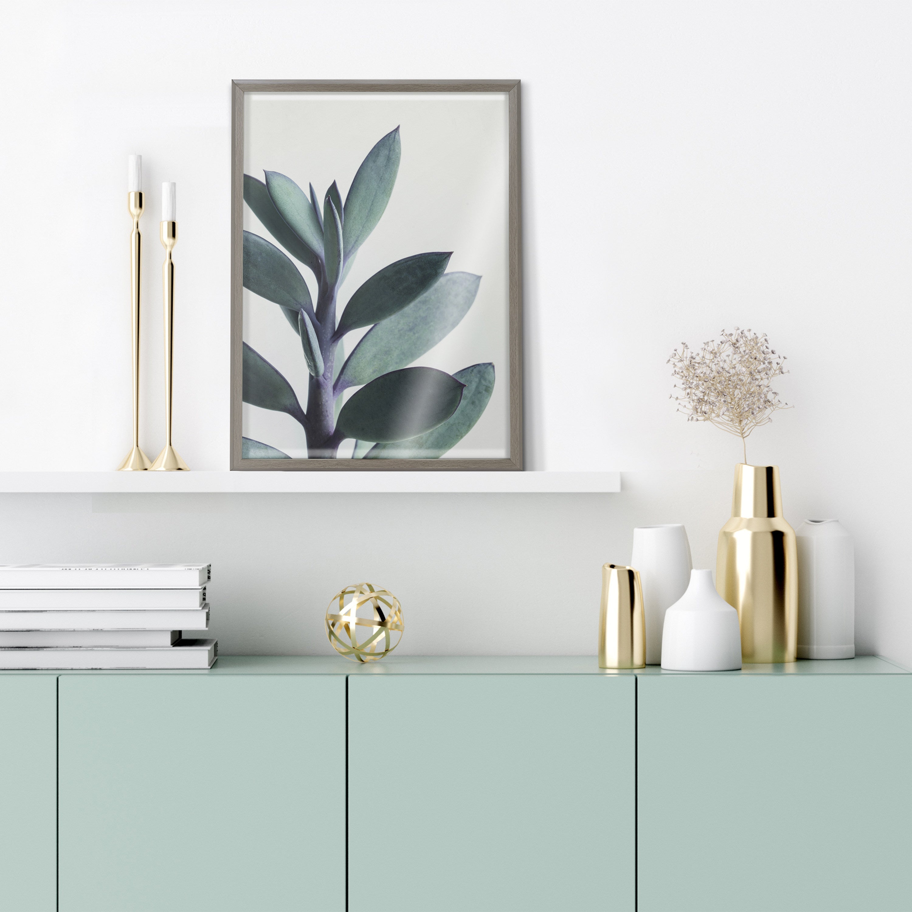 Blake Senecio 1 Framed Printed Glass by Emiko and Mark Franzen of F2Images