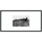 Auburn by Alicia Bock Framed Wall Art Print