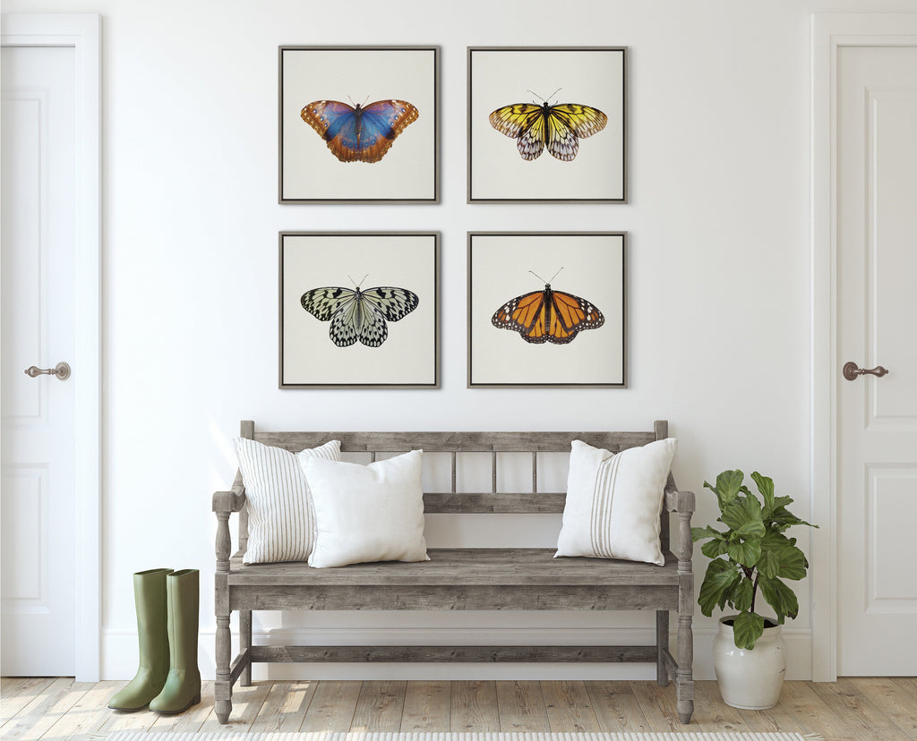 Sylvie Monarch Butterfly Framed Canvas by Robert Cadloff of Bomobob
