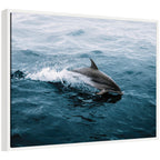 Sylvie Dolphin Skipping along in the Ocean Framed Canvas by Michael Schauer