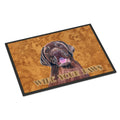 Labrador Wipe Your Paws Indoor Or Outdoor Mat 24X36