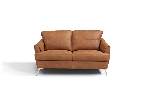 Acme Safi Loveseat in Cappuccino Leather