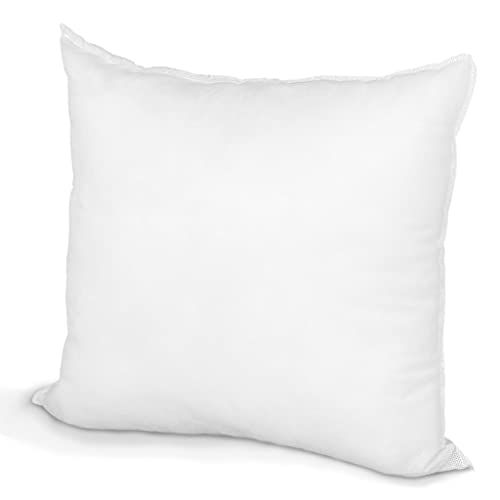 Pillow Insert 19' X 19' Polyester Filled Standard Cover