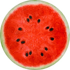 Vessia Watermelon Printed Throw Blanket, 60 Inch Realistic Funny Round Food Blanket For Adults And Kids, 300Gsm Novelty Fruits B