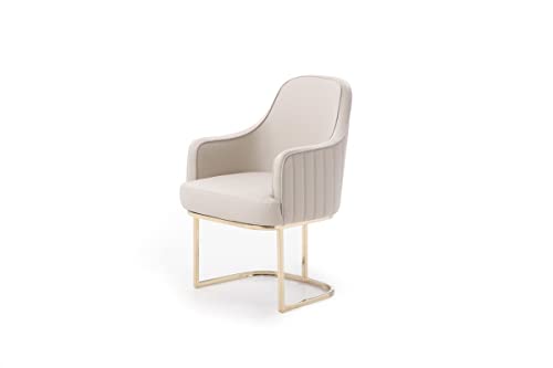 HomeRoots Grey Faux Leather, Stainless Steel Gray Gold Modern Dining Chair