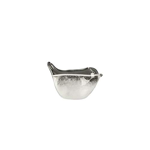 Hovico Storm Glass Weather Forecaster, Water Drop Weather Predictor, Drop-Shaped Glass Barometer, Home And Office Decorative Gla