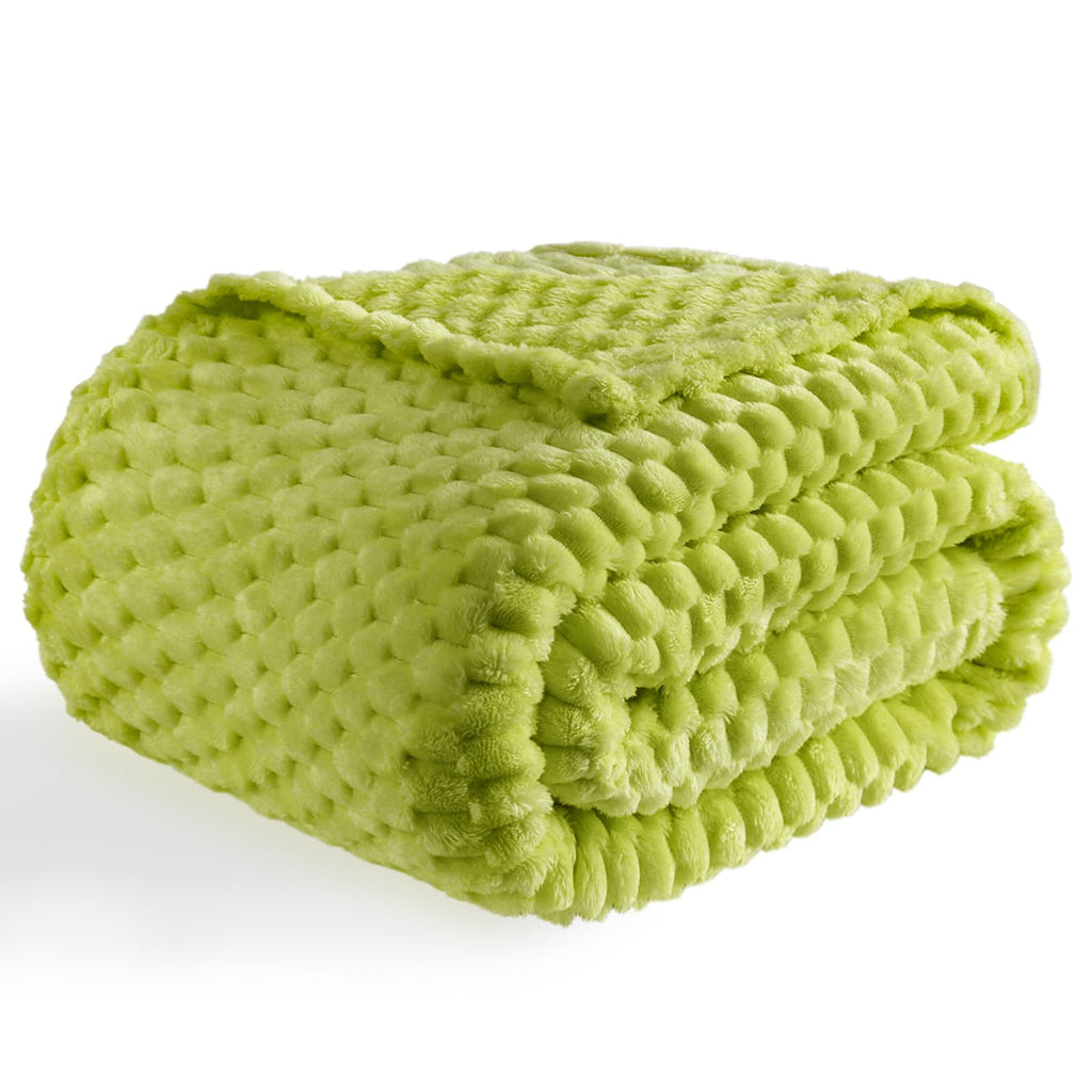 Bnuitland Fruit Green Flannel Throw Twin Size Blanket (60X80 Inches), 300 Gsm Fleece Cozy Warm Soft Home Decor Lightweight Bed B