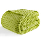 Bnuitland Fruit Green Flannel Throw Twin Size Blanket (60X80 Inches), 300 Gsm Fleece Cozy Warm Soft Home Decor Lightweight Bed B
