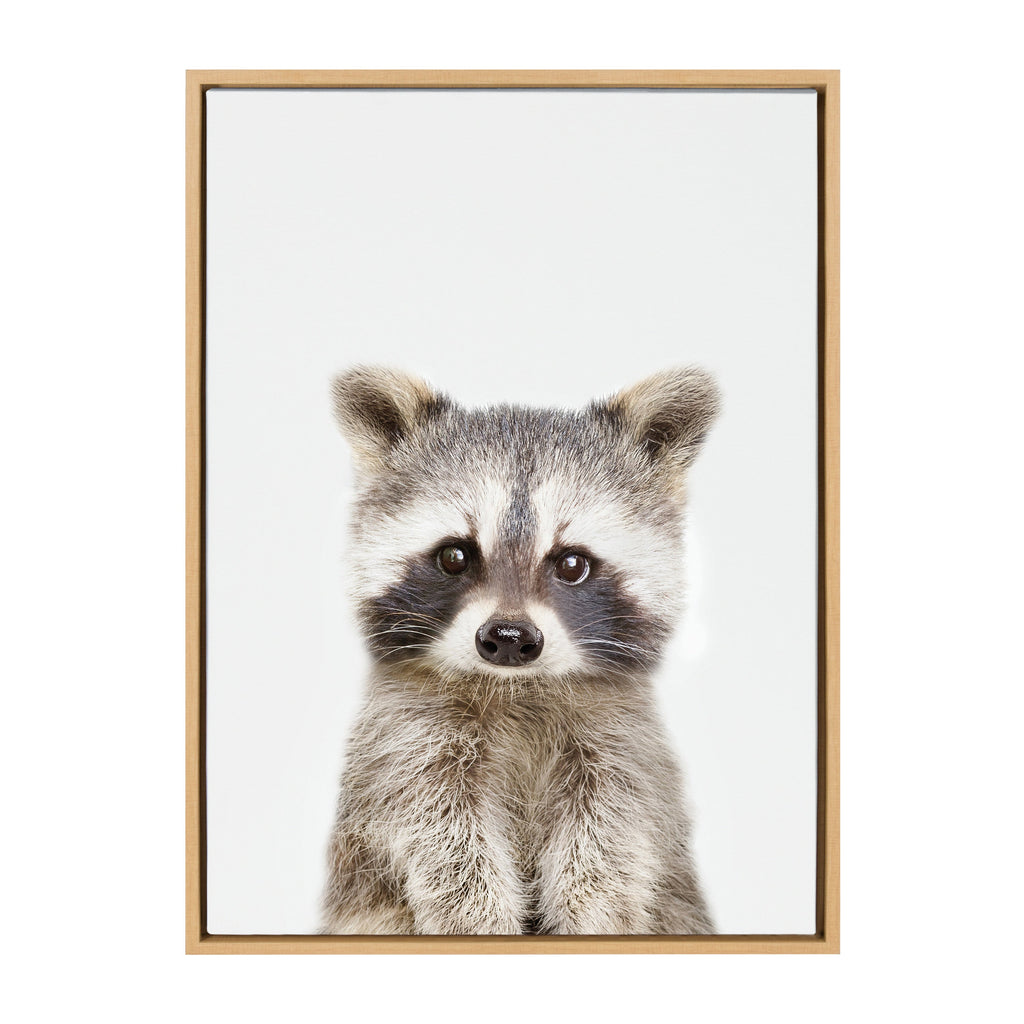 Sylvie Raccoon Framed Canvas by Amy Peterson Art Studio